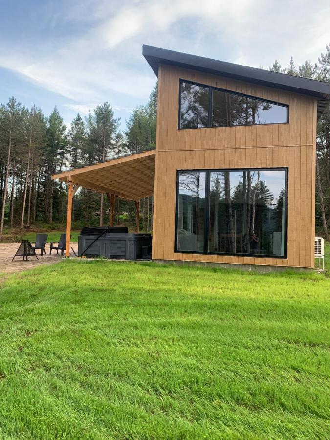Vallee Bras Du Nord Jumeau #1 Avec Spa Saint-Raymond Exterior foto